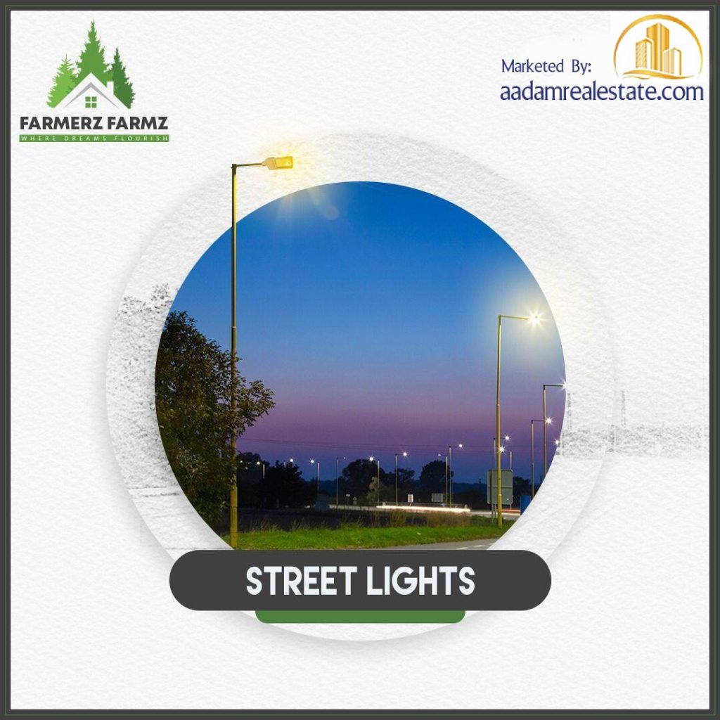 Farmerz Farmz Street Lights